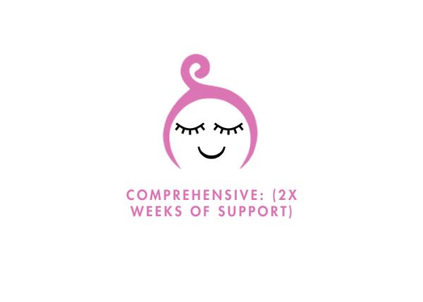 Comprehensive Support Package (2 Weeks)