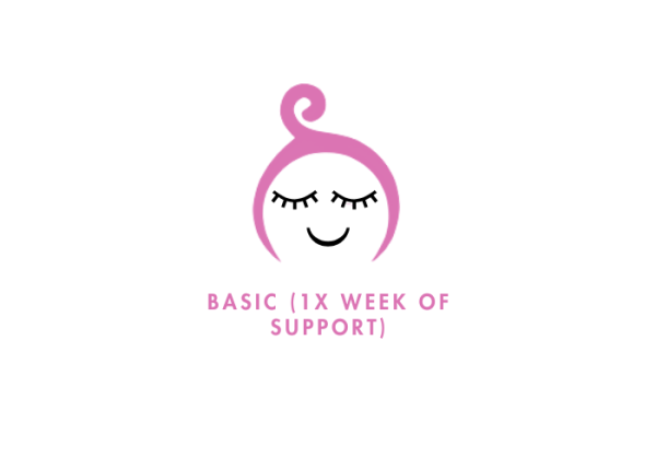 Basic Support Package (1 Week)